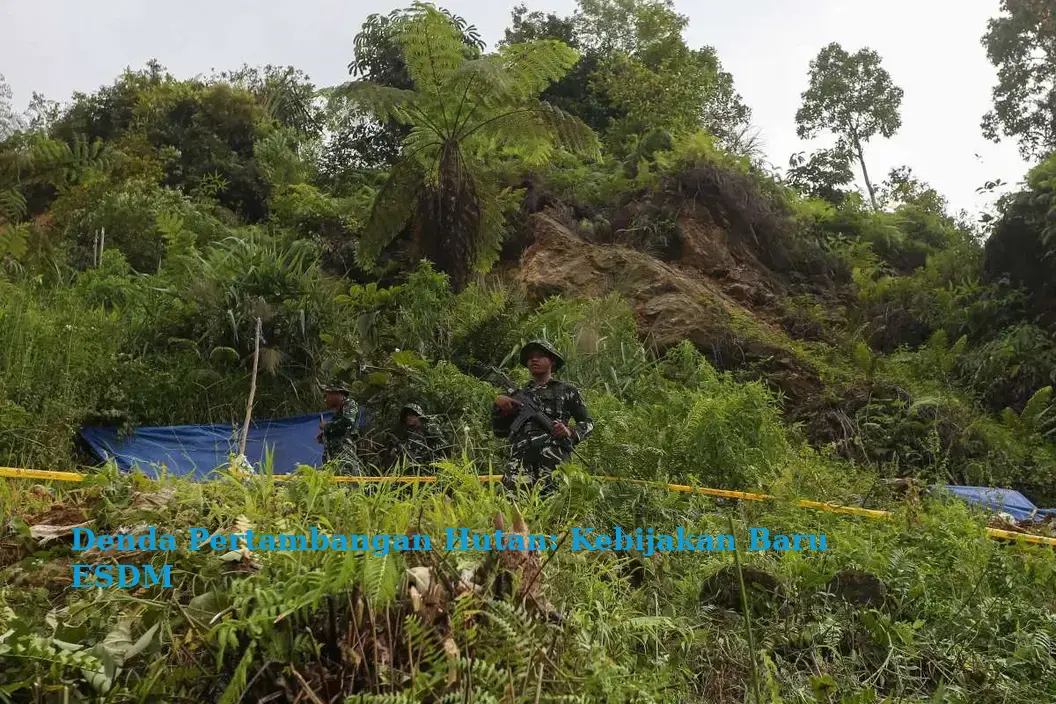 Denda Pertambangan Hutan: Kebijakan Baru ESDM
