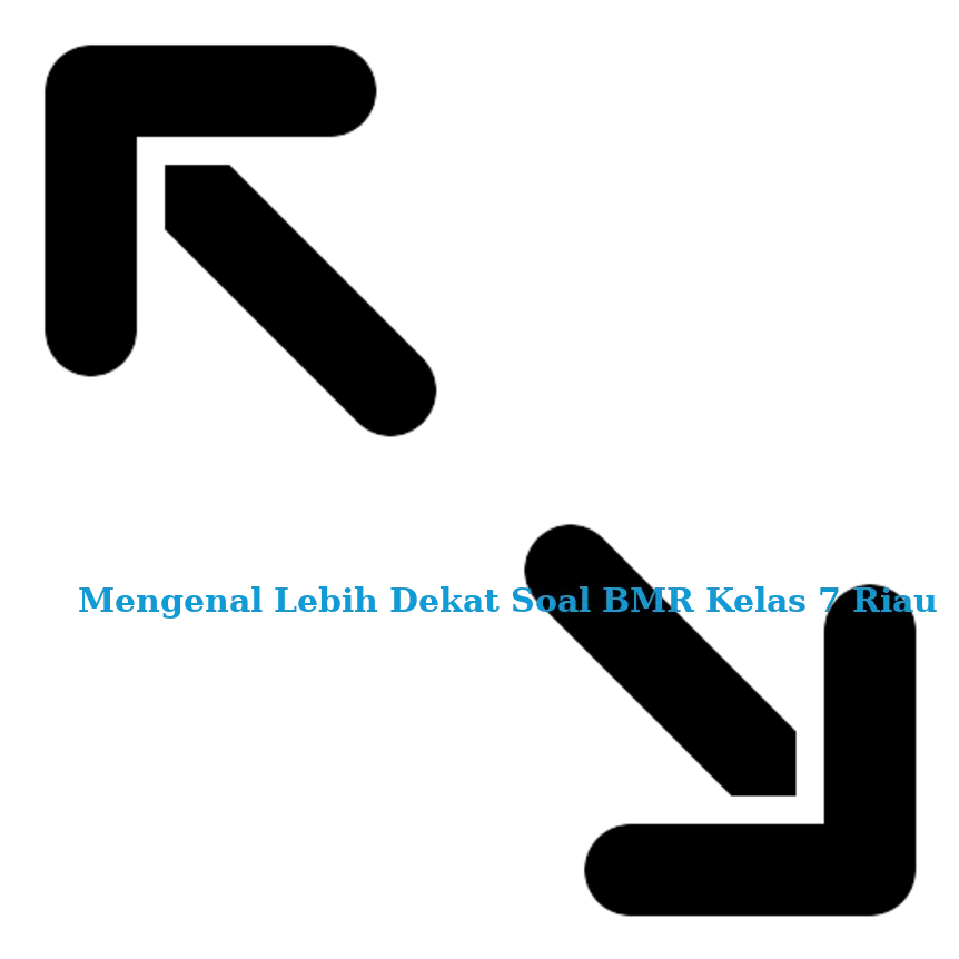 Mengenal Lebih Dekat Soal BMR Kelas 7 Riau